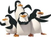 Benutzeravatar