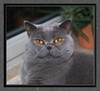 Benutzeravatar