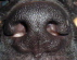 Benutzeravatar