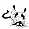 Benutzeravatar
