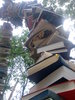 Benutzeravatar