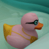 Benutzeravatar