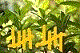 Benutzeravatar
