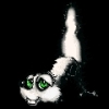 Benutzeravatar