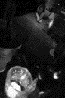 Benutzeravatar