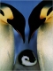 Benutzeravatar