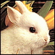 Benutzeravatar