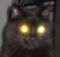 Benutzeravatar