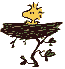 Benutzeravatar