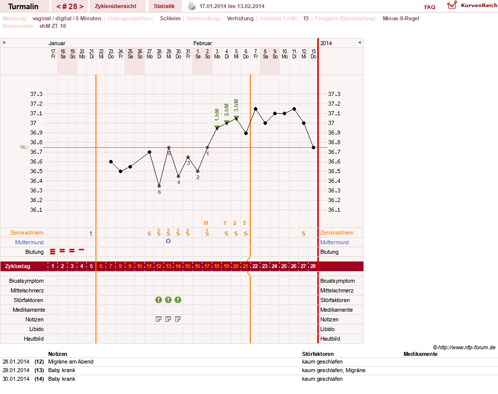 NFP-Kurve User #13733