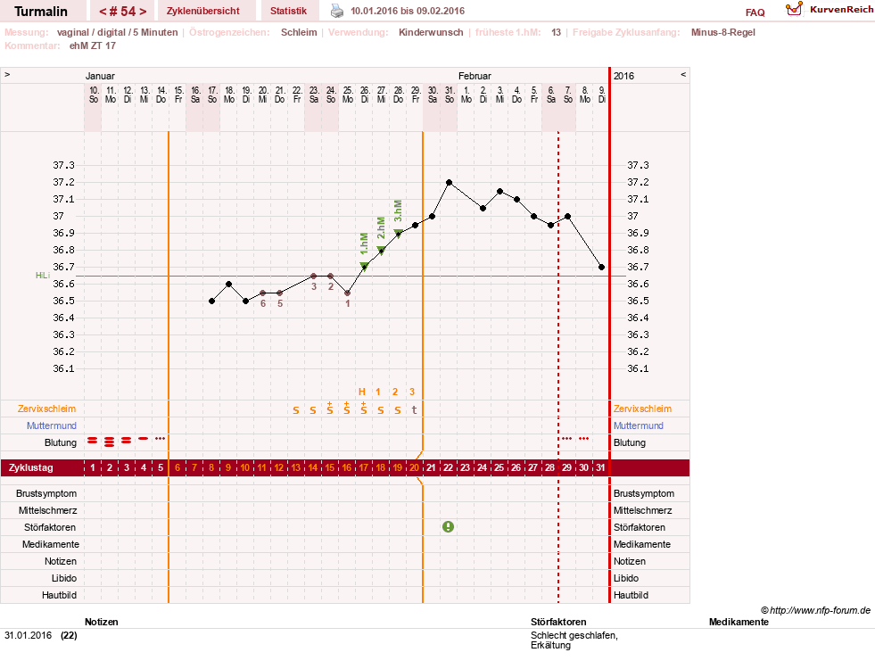 NFP-Kurve User #13733