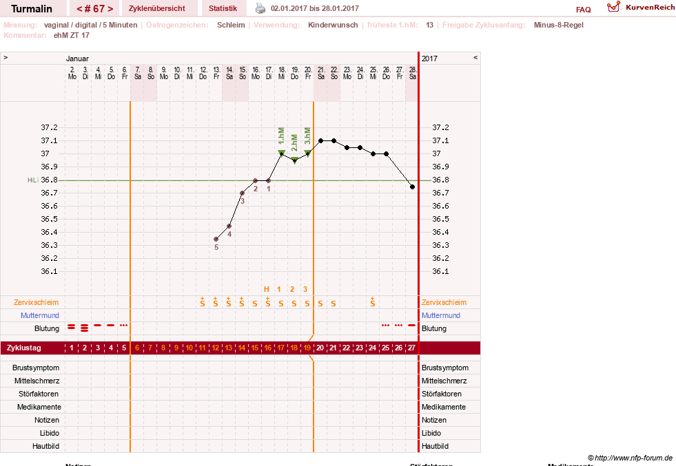 NFP-Kurve User #13733
