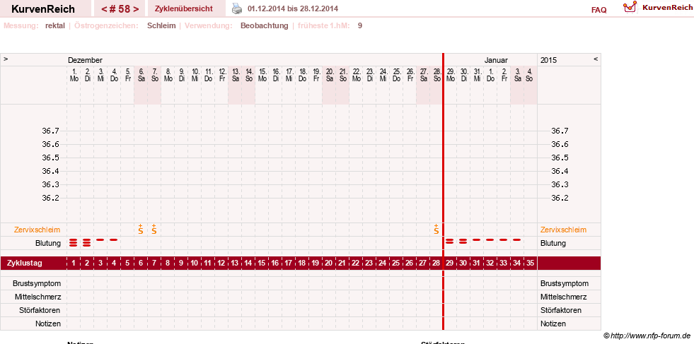 NFP-Kurve User #13804