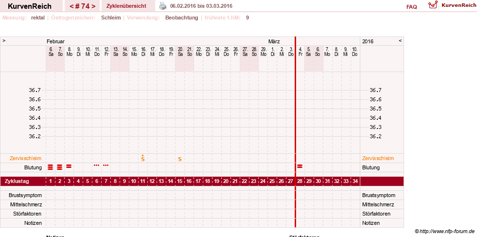 NFP-Kurve User #13804