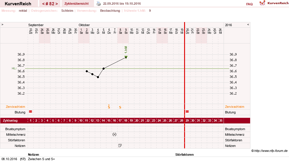 NFP-Kurve User #13804