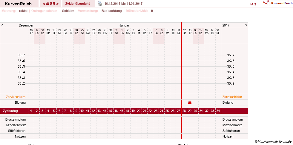 NFP-Kurve User #13804