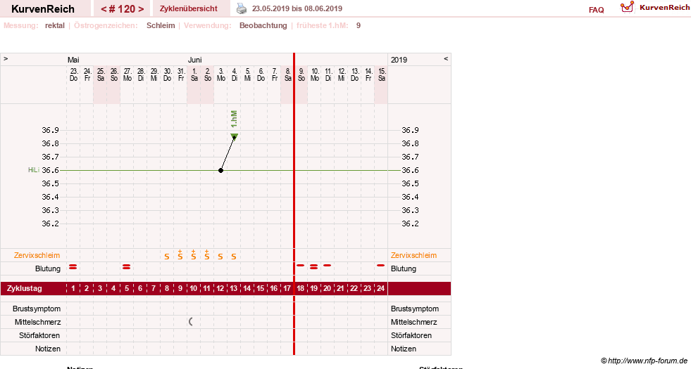 NFP-Kurve User #13804