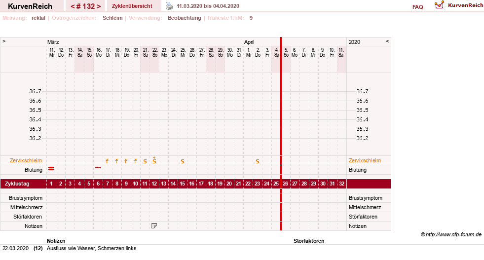 NFP-Kurve User #13804