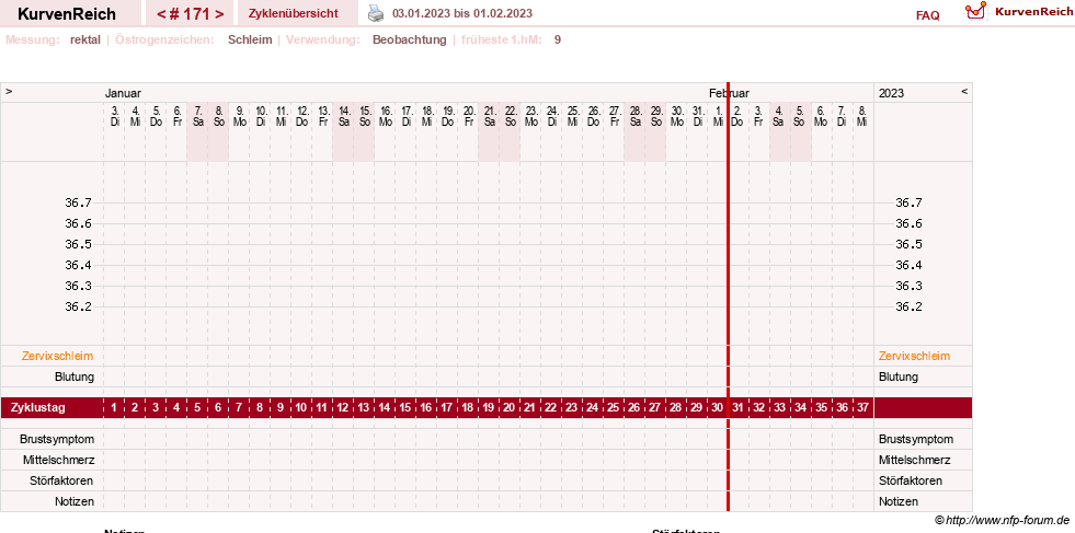 NFP-Kurve User #13804