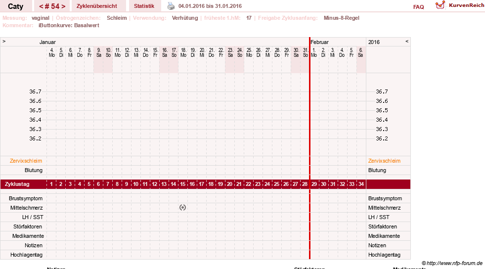 NFP-Kurve User #13821
