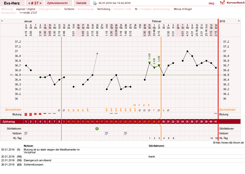 NFP-Kurve User #14341