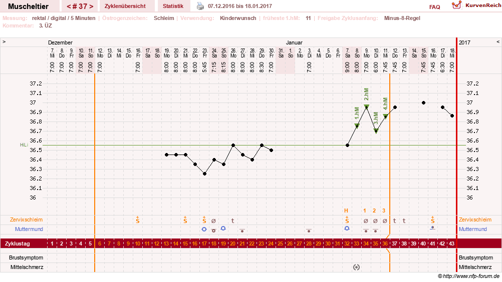 NFP-Kurve User #14780