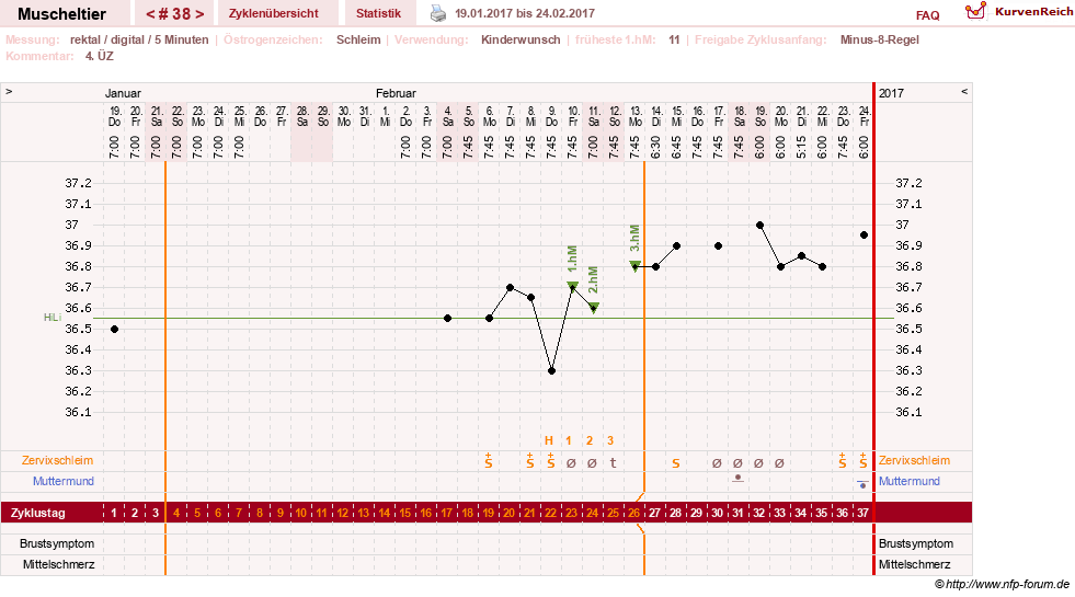 NFP-Kurve User #14780