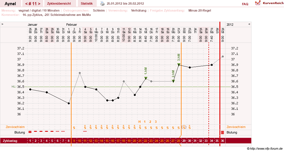 NFP-Kurve User #15046