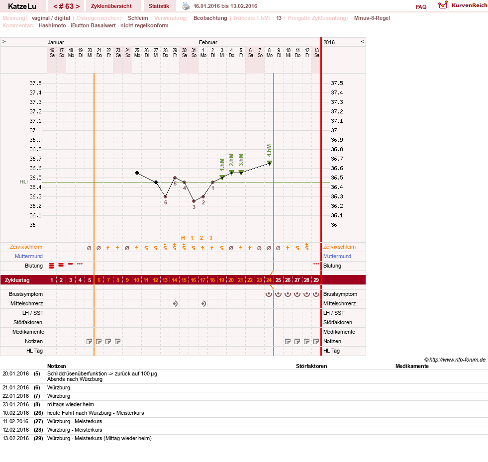 NFP-Kurve User #15638