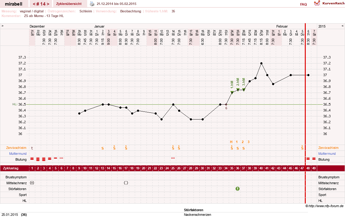 NFP-Kurve User #16685
