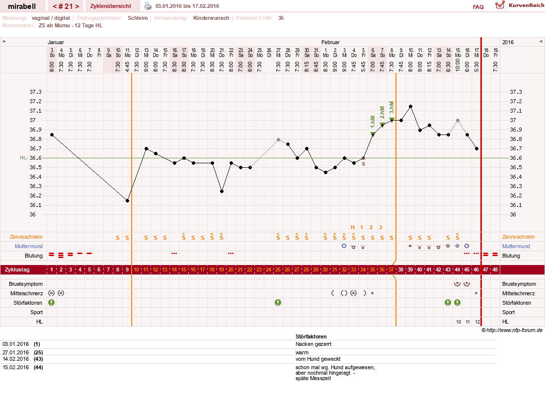 NFP-Kurve User #16685