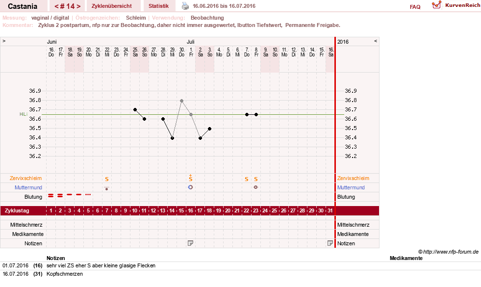 NFP-Kurve User #17252
