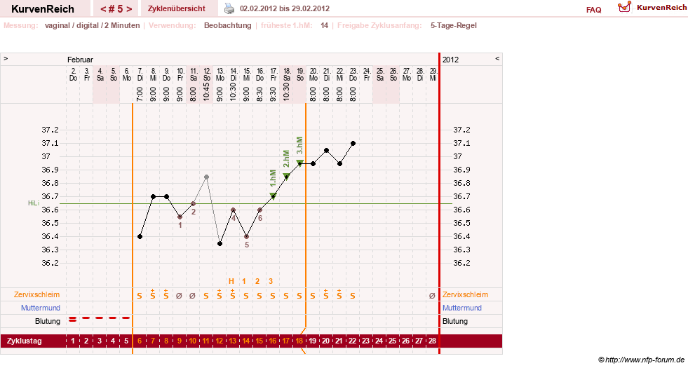 NFP-Kurve User #17633