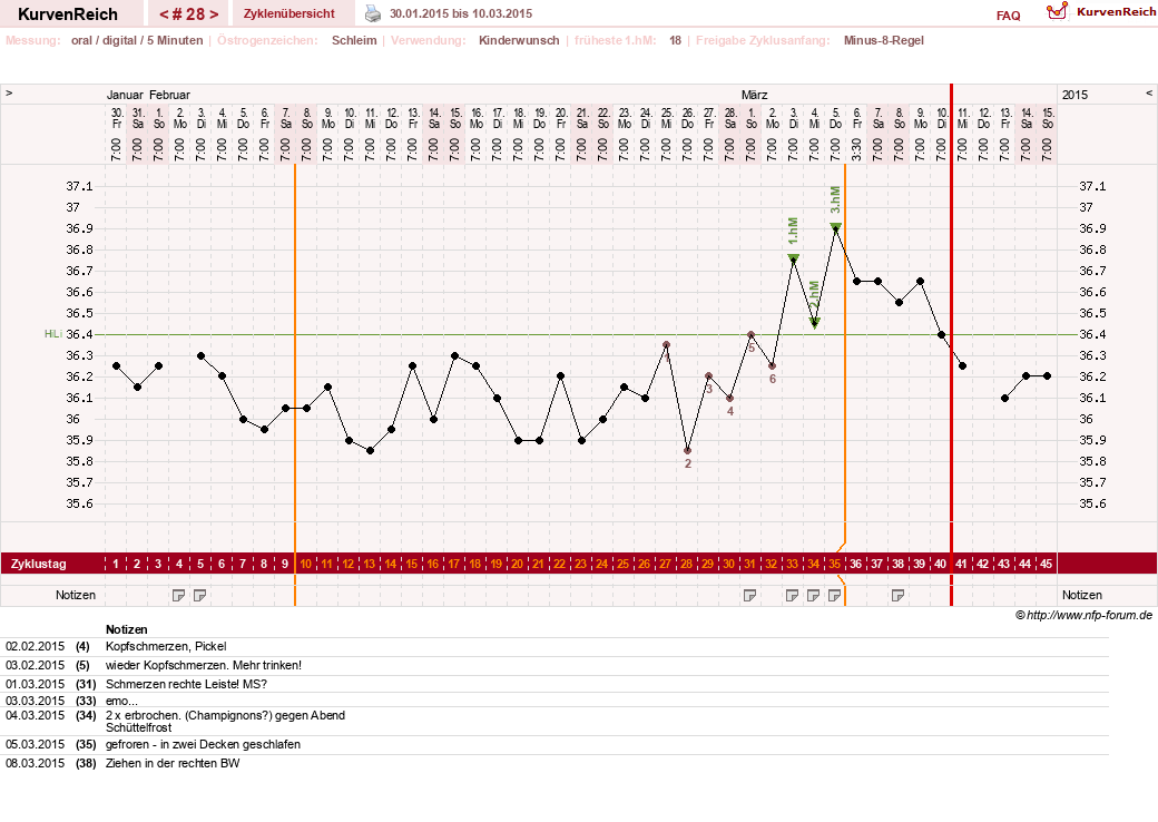 NFP-Kurve User #17941