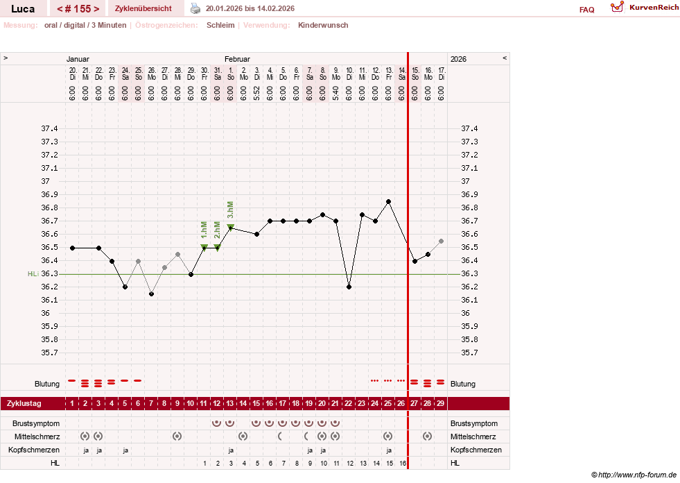 NFP-Kurve User #19059