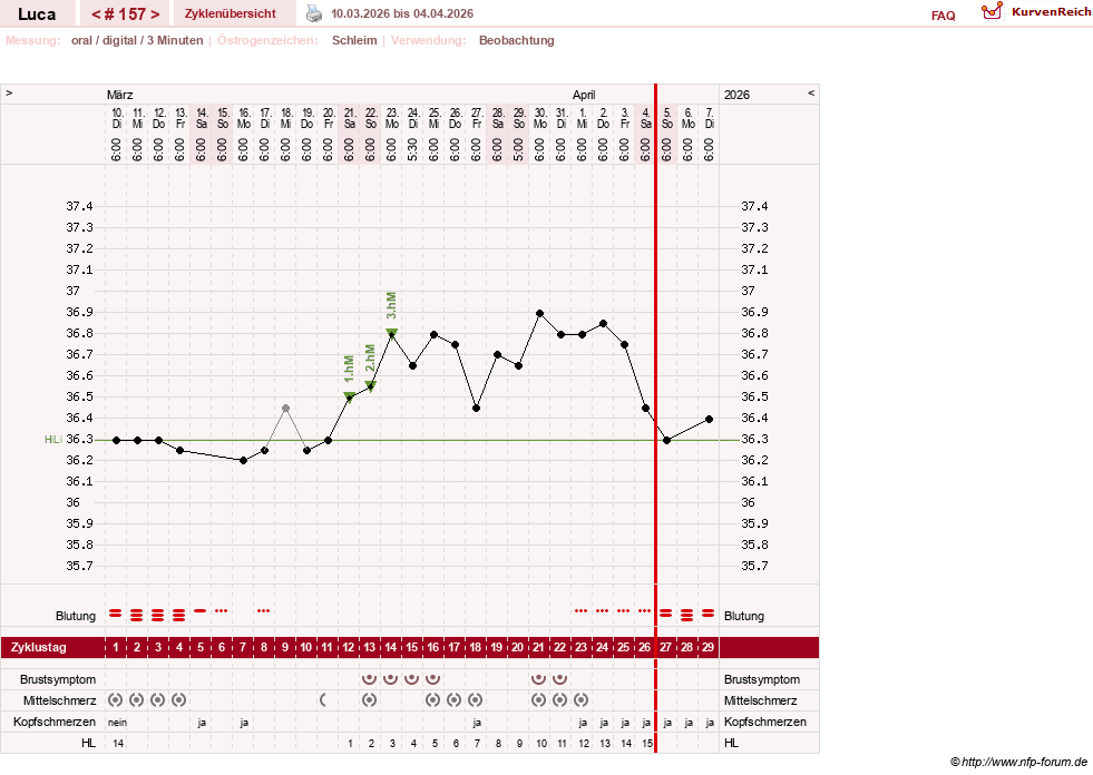 NFP-Kurve User #19059