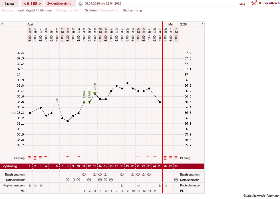 NFP-Kurve User #19059