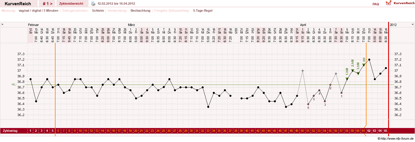 NFP-Kurve User #19247