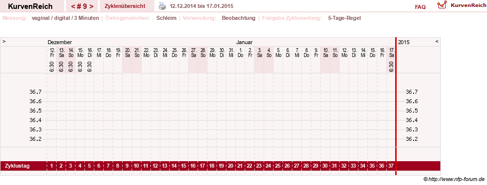 NFP-Kurve User #19247