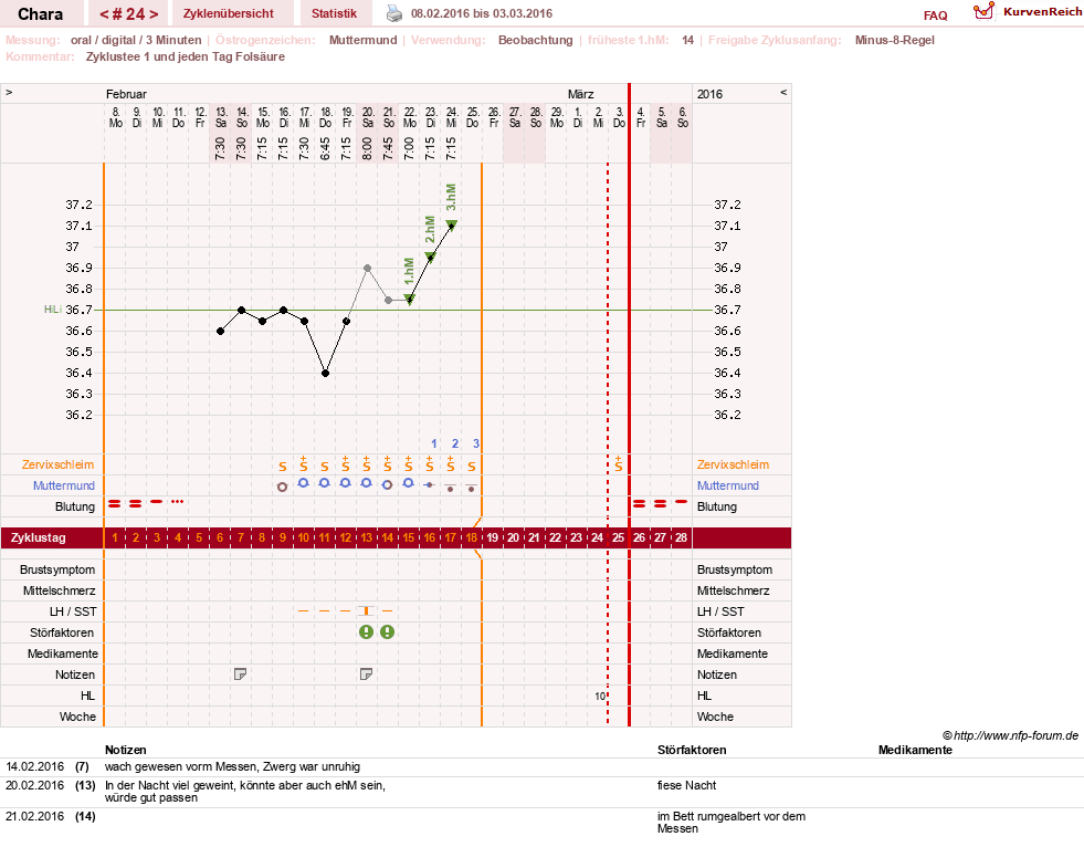 NFP-Kurve User #19584