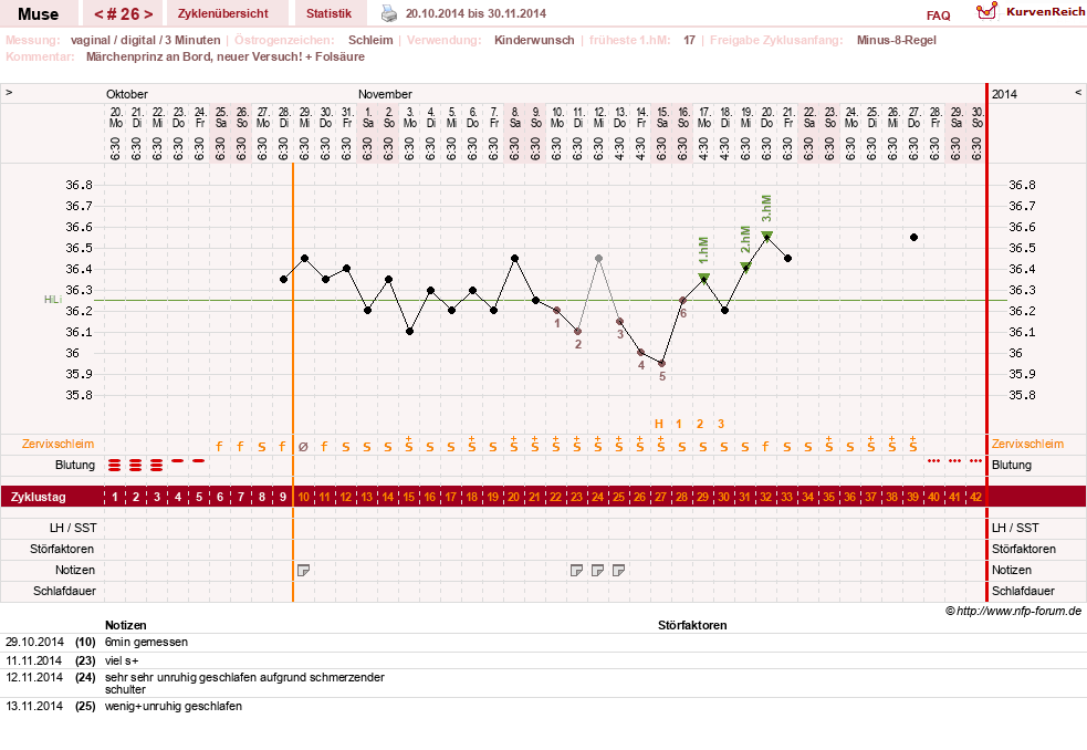 NFP-Kurve User #19623