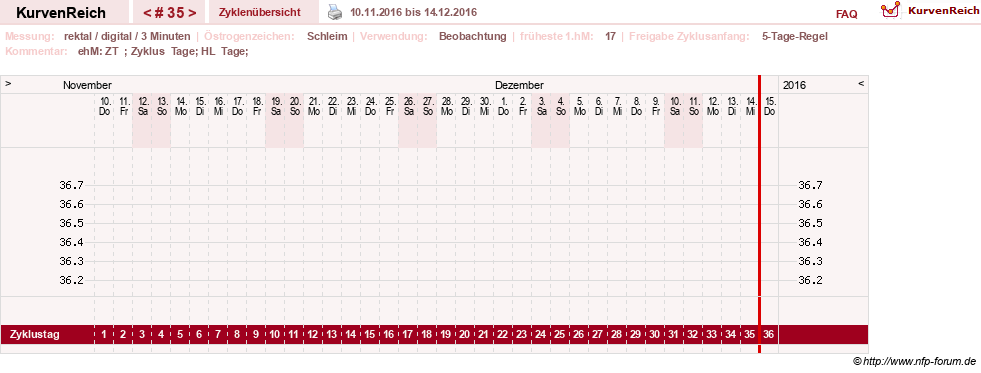 NFP-Kurve User #21422