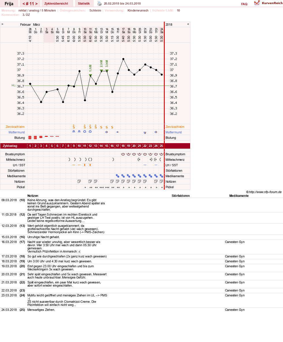 NFP-Kurve User #21801