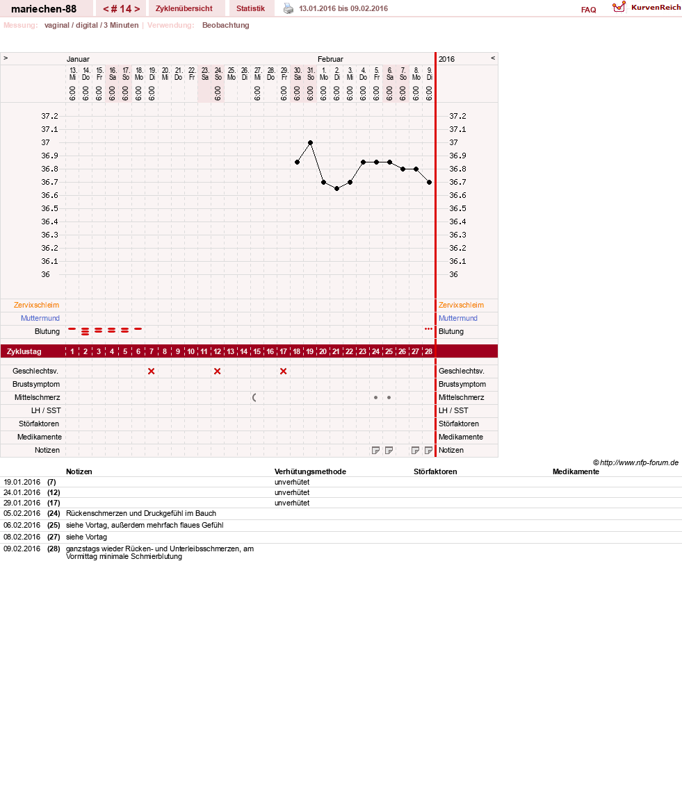 NFP-Kurve User #22492