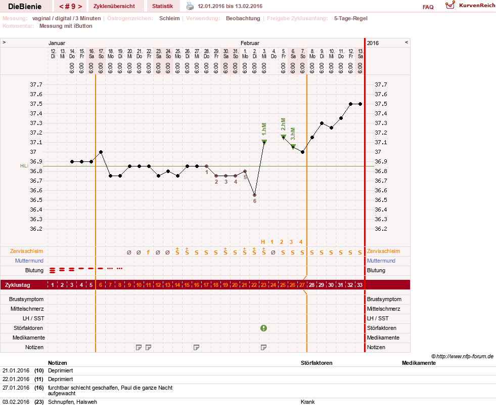 NFP-Kurve User #24048