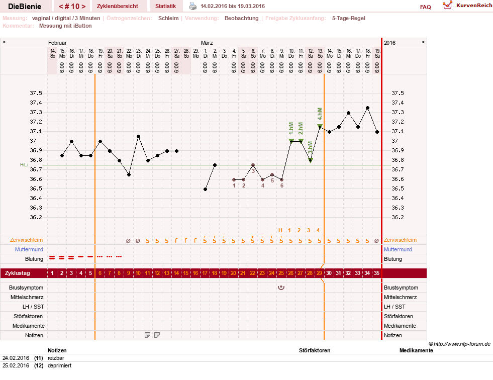 NFP-Kurve User #24048
