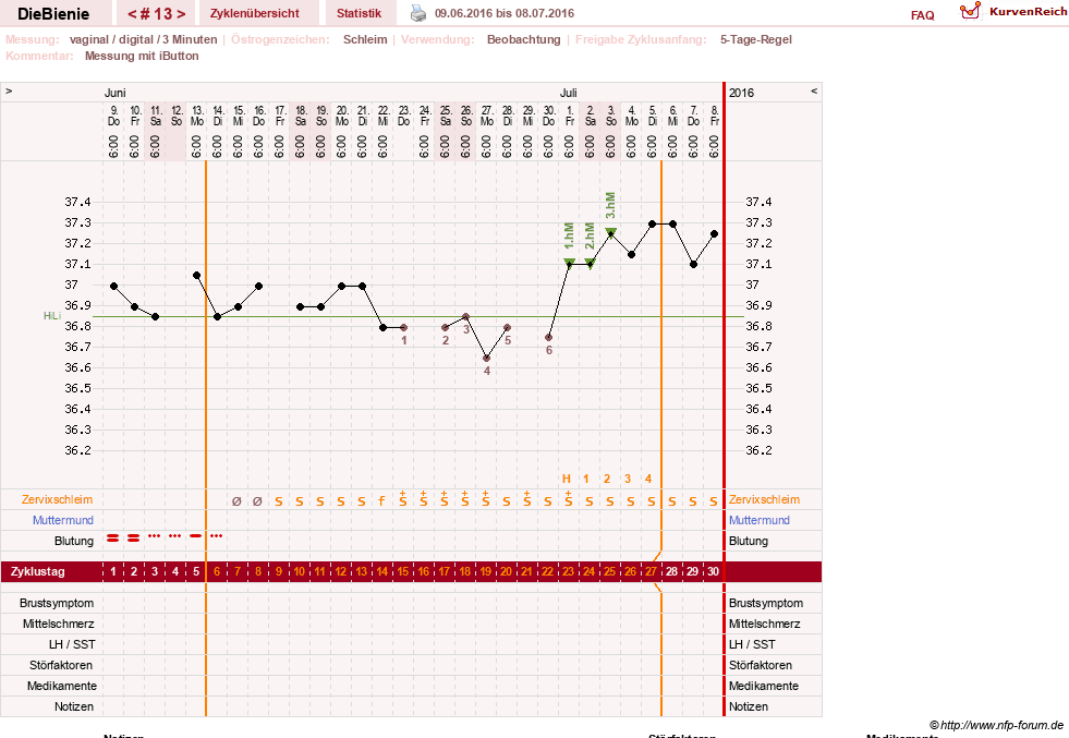 NFP-Kurve User #24048