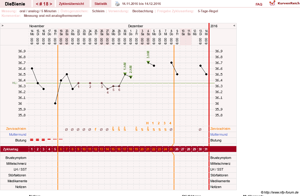NFP-Kurve User #24048