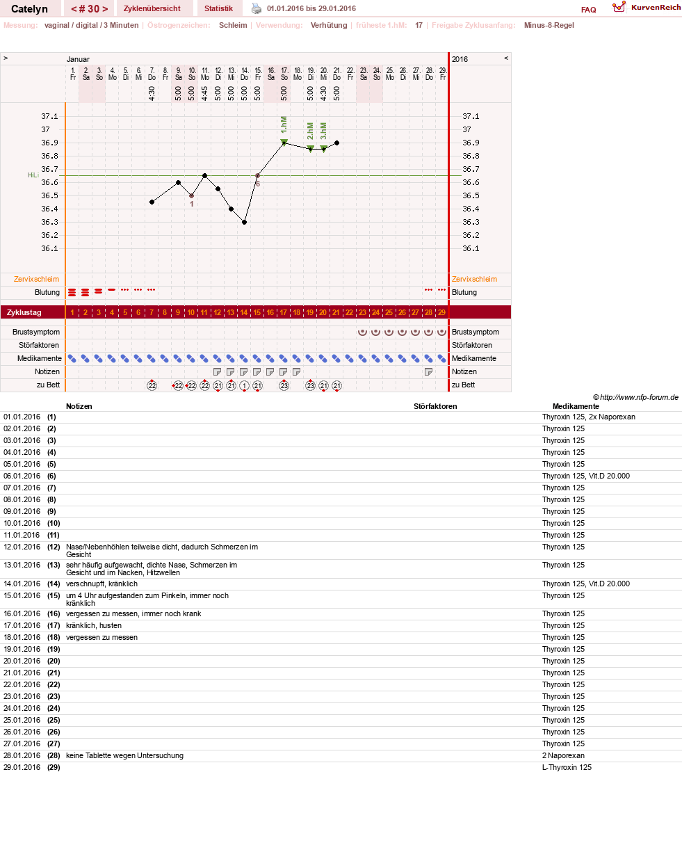 NFP-Kurve User #24125