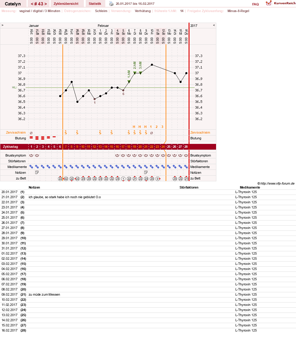 NFP-Kurve User #24125